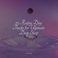 25 Rainy Day Tracks for Ultimate Deep Sleep