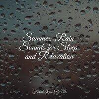 Summer: Rain Sounds for Sleep and Relaxation