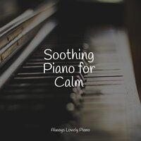 Soothing Piano for Calm