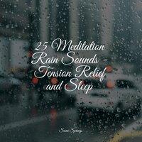 25 Meditation Rain Sounds - Tension Relief and Sleep