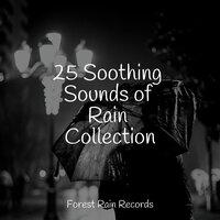 25 Soothing Sounds of Rain Collection