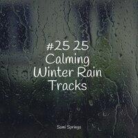 #25 25 Calming Winter Rain Tracks