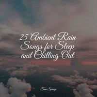 25 Ambient Rain Songs for Sleep and Chilling Out