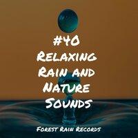 #40 Relaxing Rain and Nature Sounds