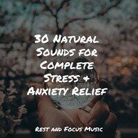 30 Natural Sounds for Complete Stress & Anxiety Relief