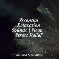 Essential Relaxation Sounds | Sleep | Stress Relief