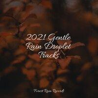 2021 Gentle Rain Droplet Tracks