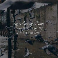 #25 Autumn Rain Sounds to Soothe the Mind and Soul