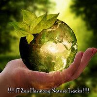 17 Zen Harmony Nature Tracks