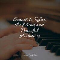 Sounds to Relax the Mind and Peaceful Ambience