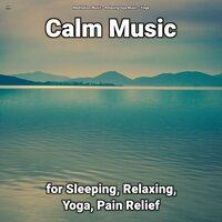 !!!! Calm Music for Sleeping, Relaxing, Yoga, Pain Relief
