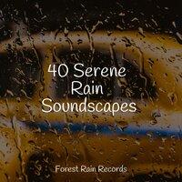 40 Serene Rain Soundscapes