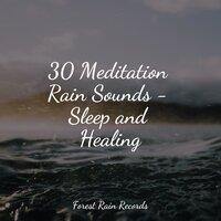 30 Meditation Rain Sounds - Sleep and Healing