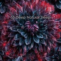 55 Deep Natural Sleep