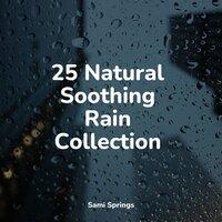 25 Natural Soothing Rain Collection