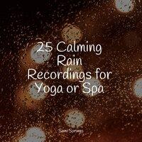 25 Calming Rain Recordings for Yoga or Spa