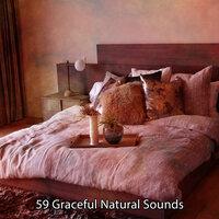59 изящных природных звуков
