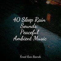40 Sleep Rain Sounds: Peaceful Ambient Music