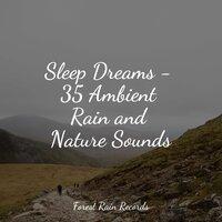 Sleep Dreams - 35 Ambient Rain and Nature Sounds