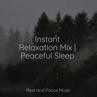 Instant Relaxation Mix | Peaceful Sleep