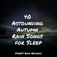 40 Astounding Autumn Rain Songs for Sleep