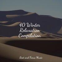 40 Winter Relaxation Compilation