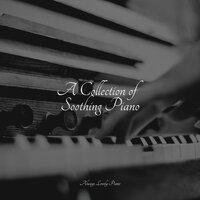 A Collection of Soothing Piano