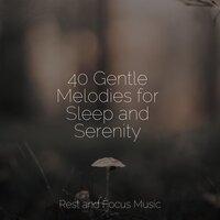 40 Gentle Melodies for Sleep and Serenity