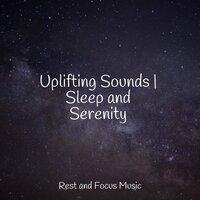 Uplifting Sounds | Sleep and Serenity