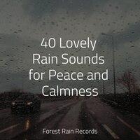 40 Lovely Rain Sounds for Peace and Calmness