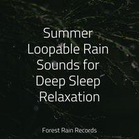 Summer Loopable Rain Sounds for Deep Sleep Relaxation