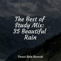 The Best of Study Mix: 35 Beautiful Rain