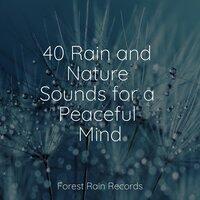 40 Rain and Nature Sounds for a Peaceful Mind
