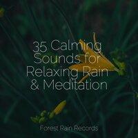 35 Calming Sounds for Relaxing Rain & Meditation