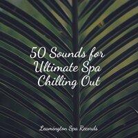 50 Sounds for Ultimate Spa Chilling Out