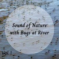Sound of Nature with Bugs at River Vol. 1