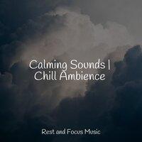 Calming Sounds | Chill Ambience