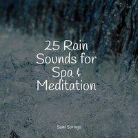 25 Rain Sounds for Spa & Meditation