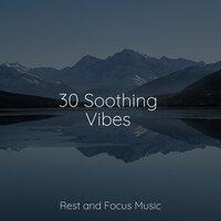 30 Soothing Vibes