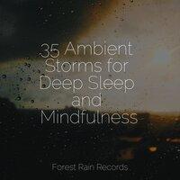 35 Ambient Storms for Deep Sleep and Mindfulness