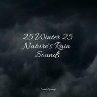 25 Winter 25 Nature's Rain Sounds