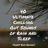40 Ultimate Chilling Out Sounds of Rain and Sleep