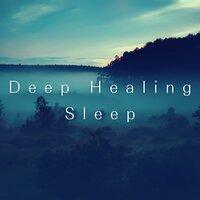 Deep Healing Sleep