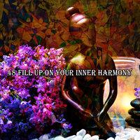 48 Fill Up On Your Inner Harmony
