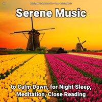 #01 Serene Music to Calm Down, for Night Sleep, Meditation, Close Reading