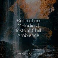 Relaxation Melodies | Instant Chill Ambience