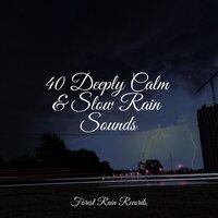 40 Deeply Calm & Slow Rain Sounds
