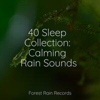 40 Sleep Collection: Calming Rain Sounds