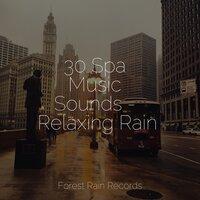 30 Spa Music Sounds - Relaxing Rain