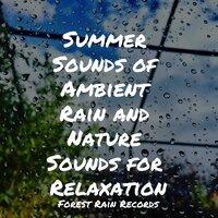 Summer Sounds of Ambient Rain and Nature Sounds for Relaxation